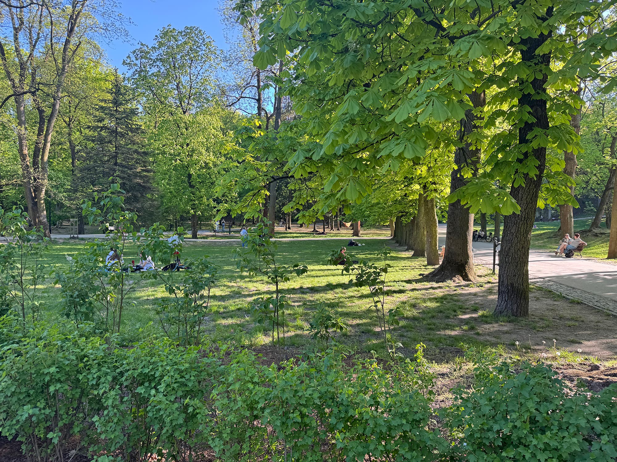 Park Bednarskiego
